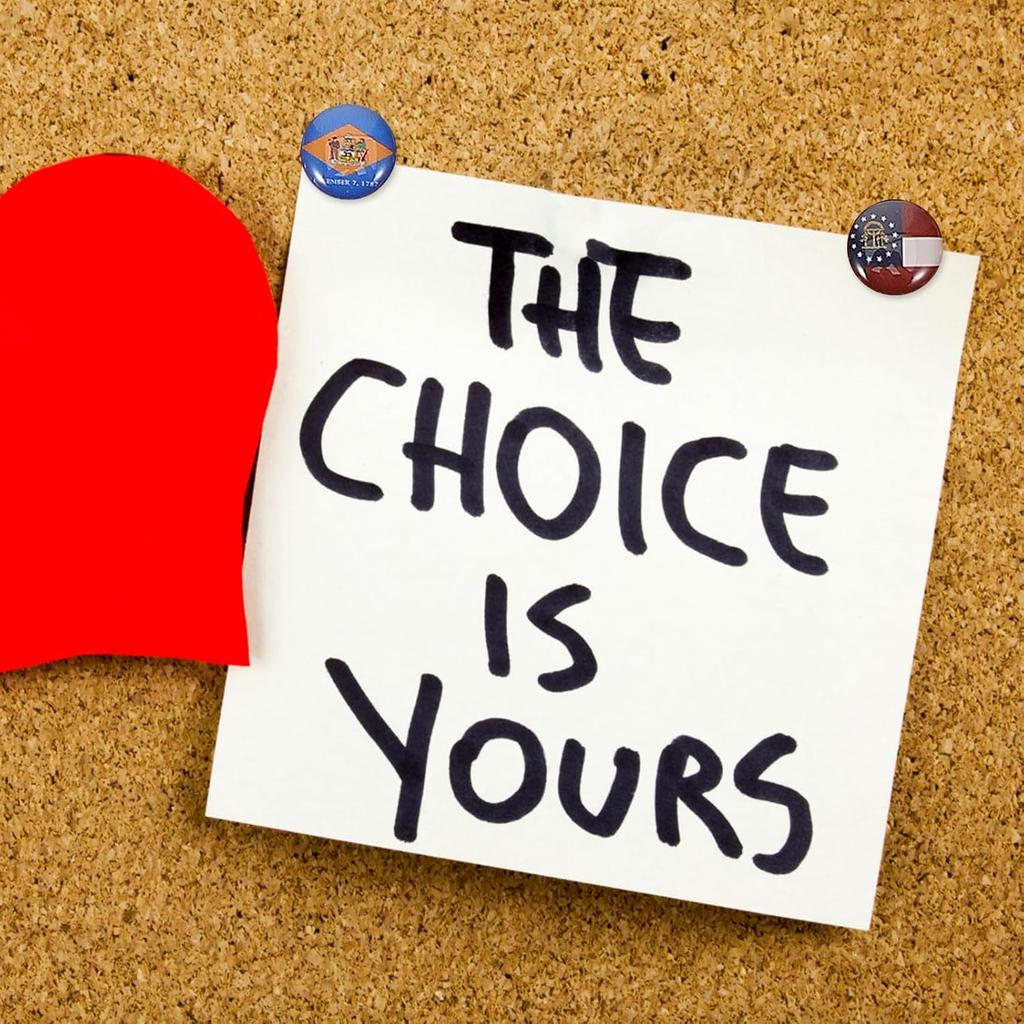 USA 50 Bundesstaaten Flagge Reißzwecken, Dekorative Pinnnadeln für Pinnwand Reisekarten-Pins Büro und Klassenzimmer (51 Teile + Pinnwand)