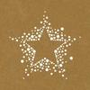 8 X 8 Inch Paper Stencil - Stars