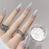 1 krabička Moonlight Mirror Effect Nails Power Jemné třpytky Kovové pigmenty Gel Polish Chromový holografický prášek na nehty