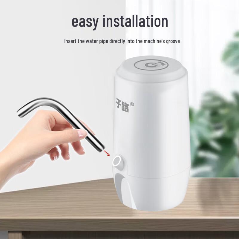 Zilu Electric Bottled Water Pump