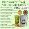 250g Organic Young Organic Barley Grass Juice for Cell Detox & Cleanse