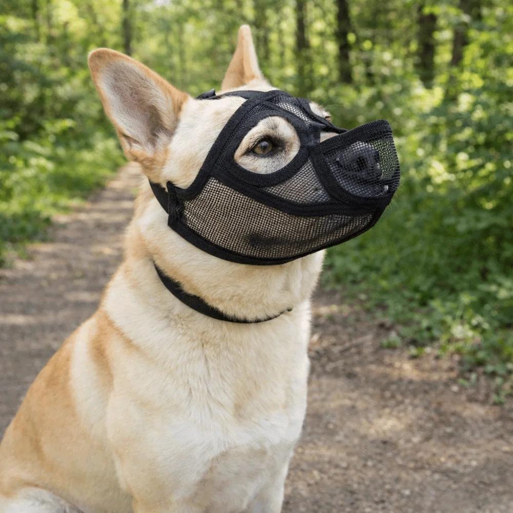Praktyczny siatkowy kaganiec dla psa Regulowany Anti-Jedzenie Anti-Gryzienie Oddychający Do picia Osłona pyska zwierzęcia Stop Szczekaniu
