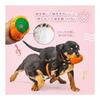 Set of 10 Dog Toys, Dog Chewing Toys, Sounds, Stuffed Animals, Cute, Dog Toys, Pet Supplies, Relieve Lack of Exercise, Stress Relief, Funny,