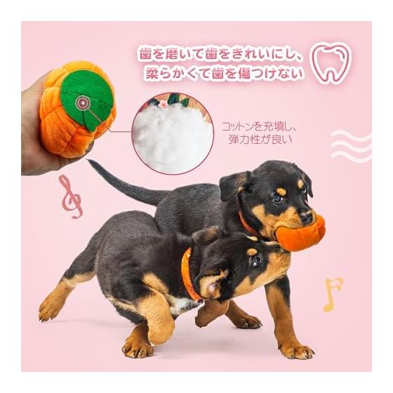 Set of 10 Dog Toys, Dog Chewing Toys, Sounds, Stuffed Animals, Cute, Dog Toys, Pet Supplies, Relieve Lack of Exercise, Stress Relief, Funny,