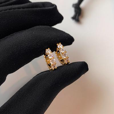 Zircon Metal Silver Earrings Female Light Luxury Niche High-level Sense of Small Exquisite Hundred with Earrings Affordable Dainty Earrings Daily Wear