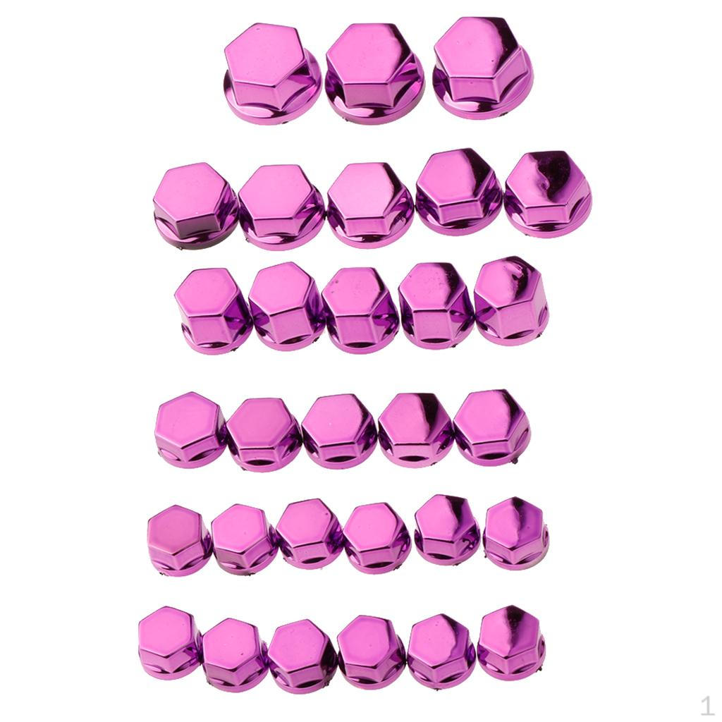 30 Piece Stainless Motorcycle Screw Kit for