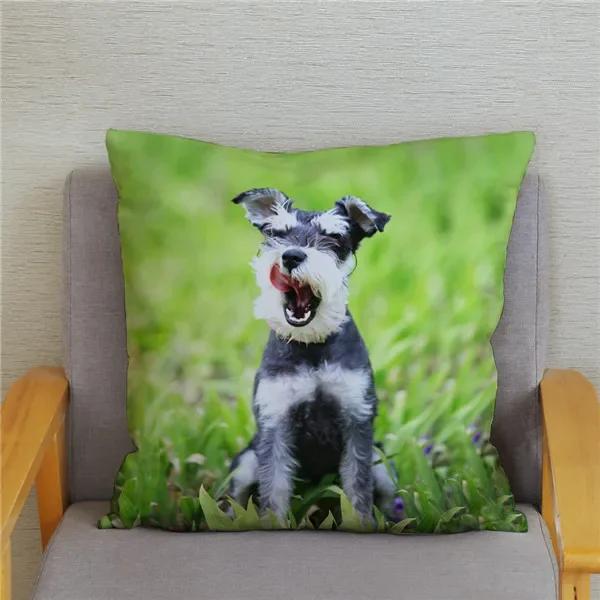 Home Bedroom Pillowcase Cute Schnauzer Print Cushion Cover Decor
