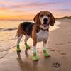 4 pcs/set Non-slip Dog Mesh Shoes Breathable Mesh Dog Sneakers Pet Net Boots  Outdoor Walking