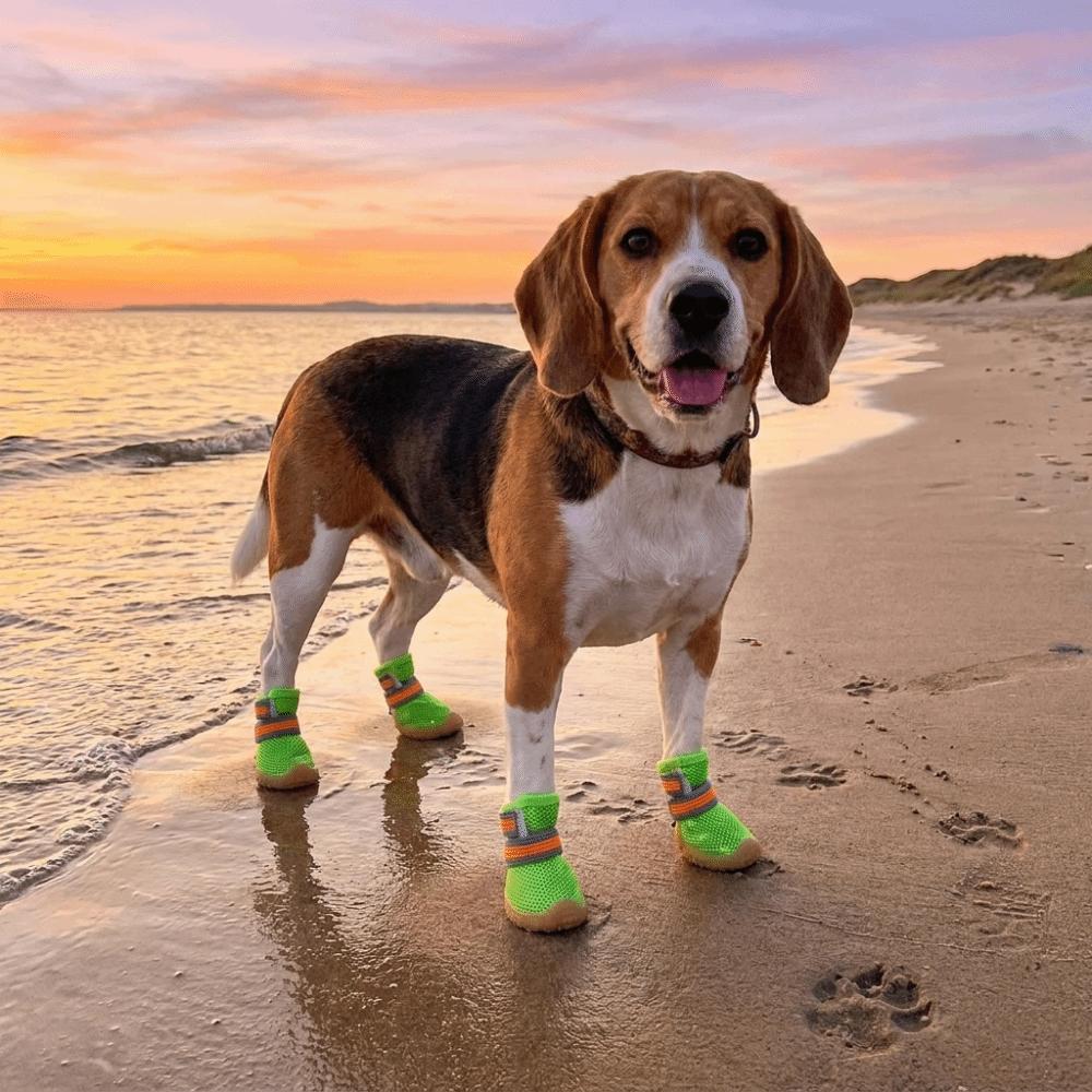 4 pcs/set Non-slip Dog Mesh Shoes Breathable Mesh Dog Sneakers Pet Net Boots  Outdoor Walking