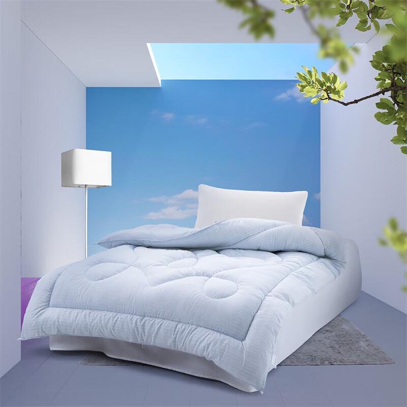 

Mercury Blank Youth Four Seasons Quilt