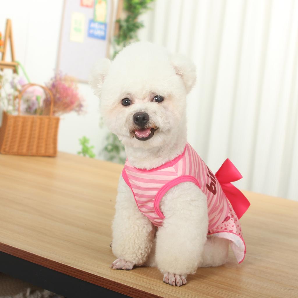 Dog Clothes, New Princess Dress, High Elasticity, Cross-border Foreign Trade, Happy Birthday Skirt in Europe and America, Pet Clothes Batch