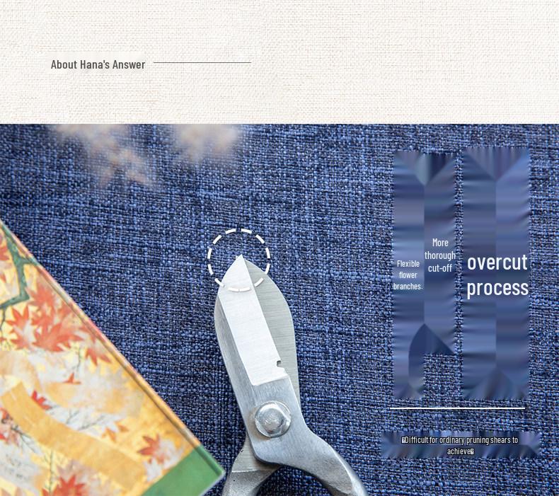 Japanse Roestvrijstalen Ikebana Snoeischaar voor Bloemen en Tuin