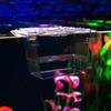 Self-floating Fry Box Double Hatchling Box Guppy Disease Fish Isolation Box Betta Fish Box Propagator