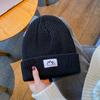 Trendy brand hats, men's and women's wool hats, autumn and winter knitted hats, couples, street thickened thermal ear hats, cold hats