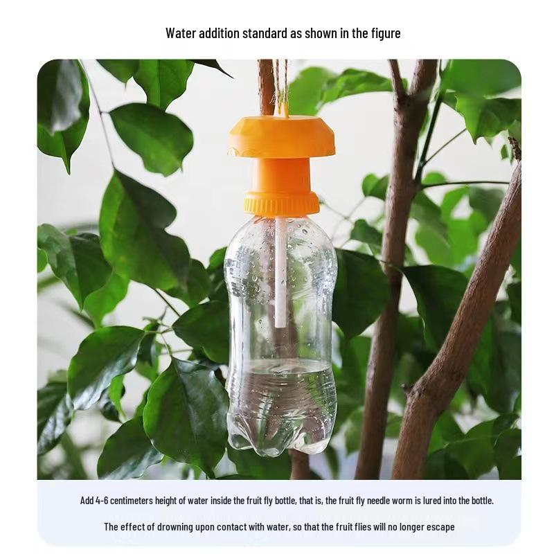 Golden Fruit Fly Trap: Effective Melon & Fruit Fly Attractant