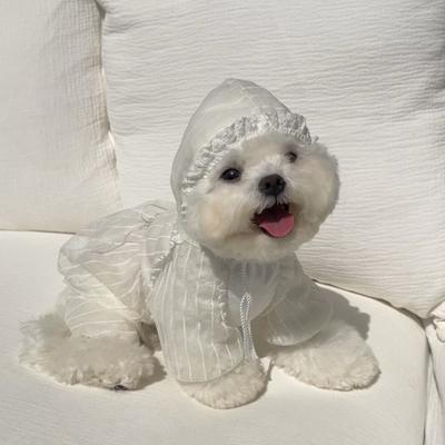 Pet Summer Four Legged Clothes Perspective Lace Small Sized Breathable Hooded Sunscreen Clothes for Dogs and Cats Thin Jumpsuit