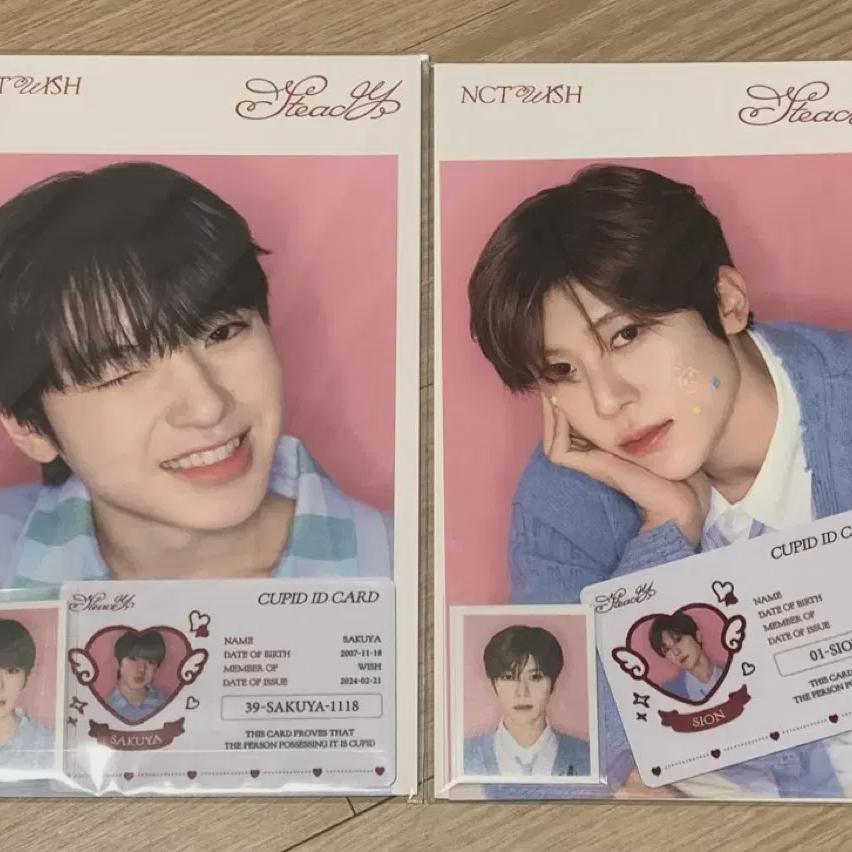 Nct Wish Steady Pop Pop Color Sakuya Shion Photo Set Sealed Photocard
