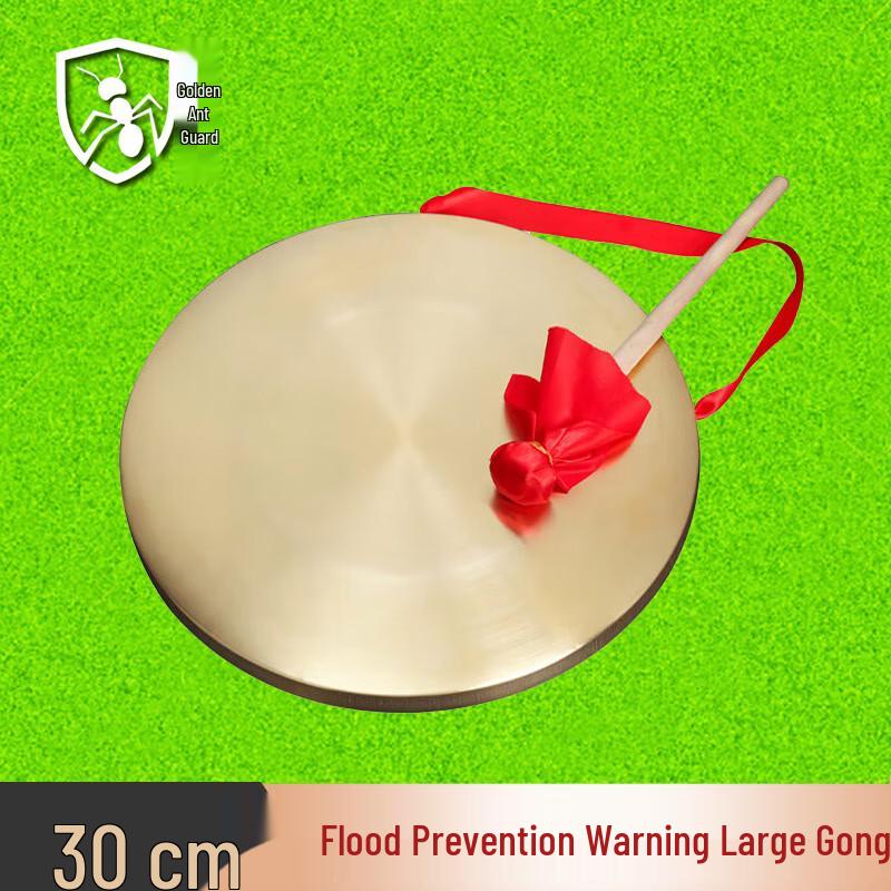 Large Flood Warning & Performance Gong