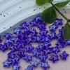 20pcs Ceramic Ceramic Spacer Loose Beads Fresh Color Jewelry Making Material Starfish Bead  Student