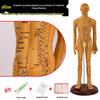 Traditional Chinese Medicine Acupuncture Model: Full-Body Meridian Acupoint Diagram for Needle Practice