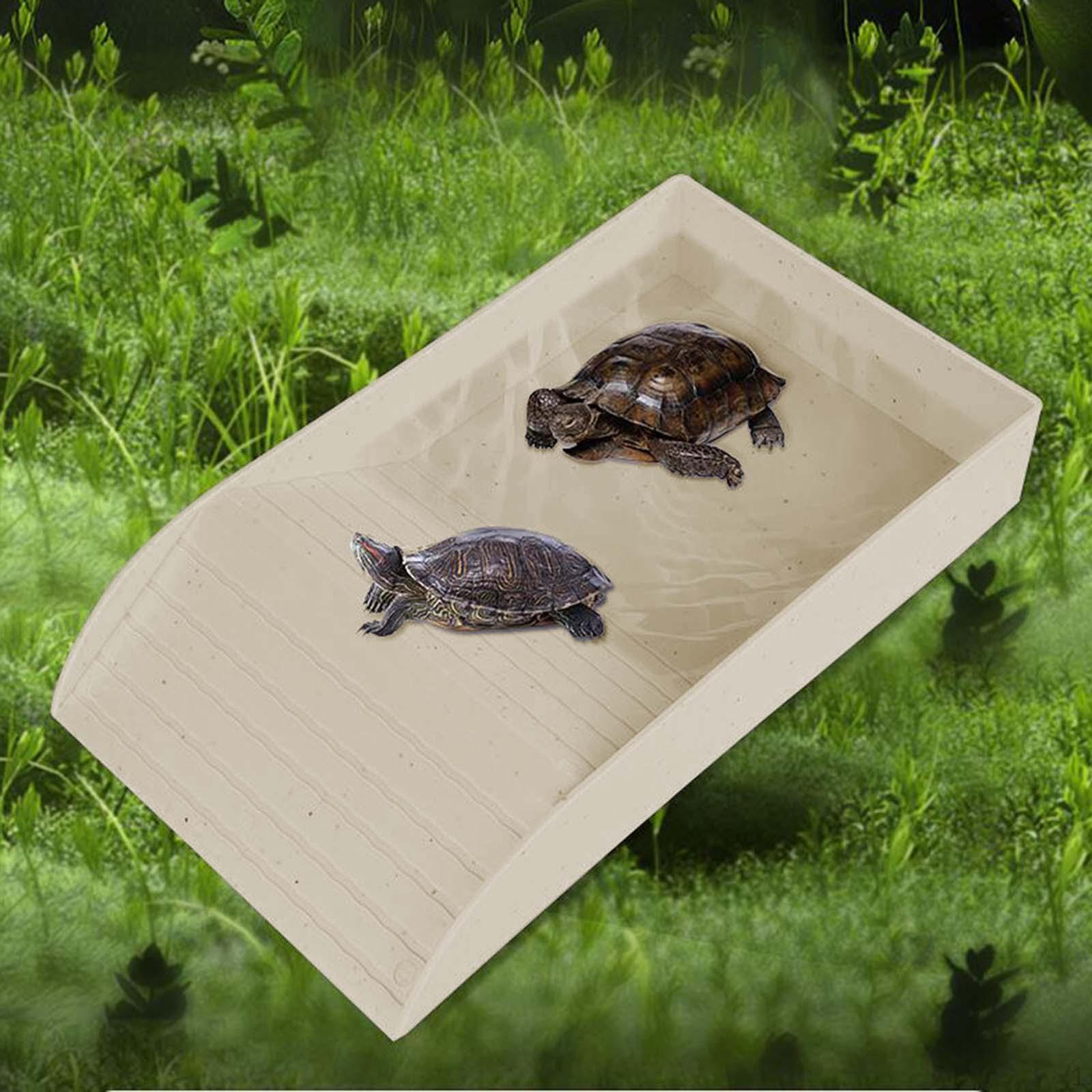 

Блюдо для воды для рептилий в среде обитания ящериц с кормушкой для черепах с пандусом для бородатого дракона white and L