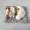 Activated Carbon Cat Car Ornament: Formaldehyde-Removing Air Purifier and Cute Simulation Doll