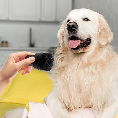 Pet Hair Removal Brush Brush Dog Grooming Shedding Gentle Ergonomic Portable Cleaning Kit for Home Indoor Puppy Kitten Hygienic