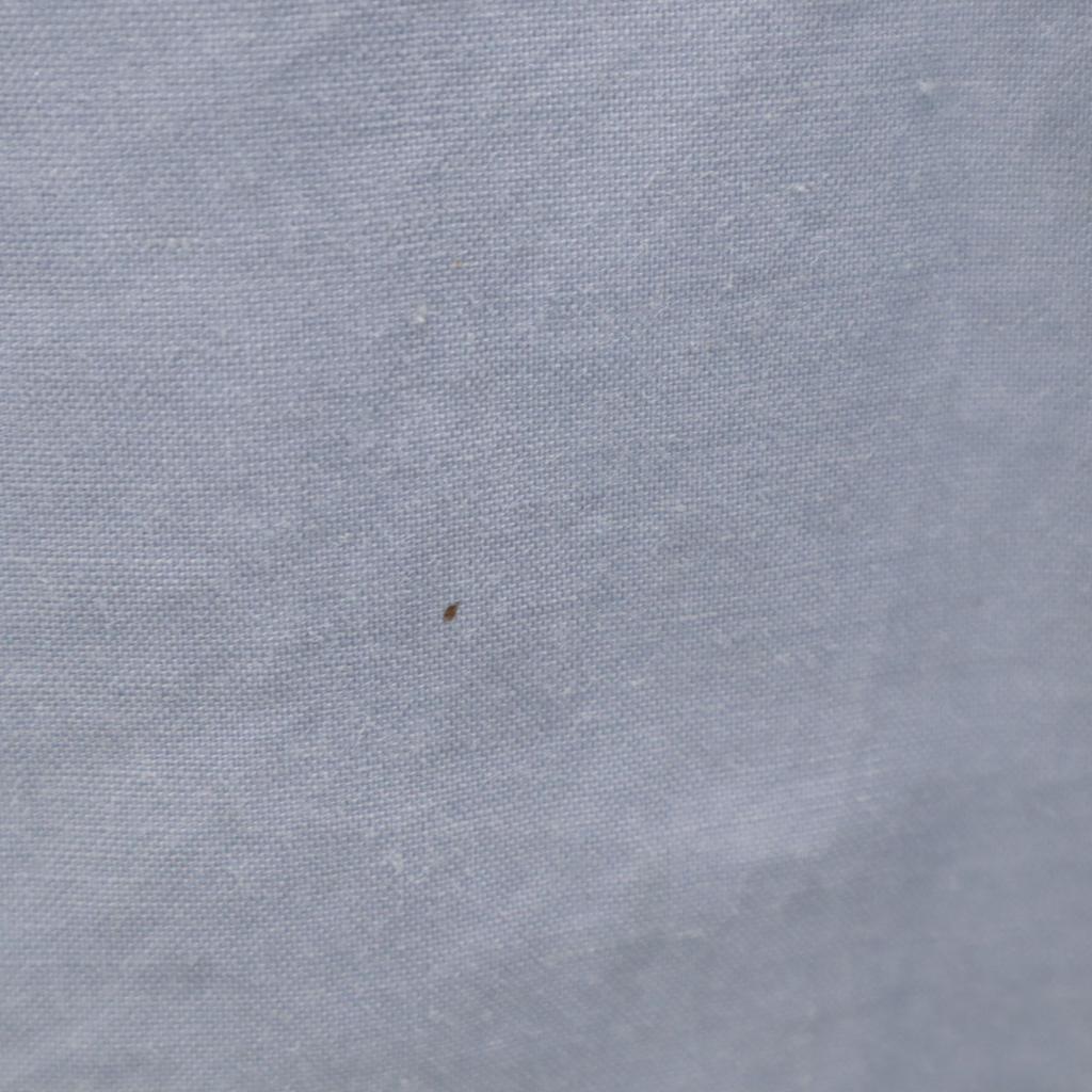 VOYAGE by MARINA RINALDI Vyrobeno v Itálii Lněné Krátký rukáv přepínání Střih S Ženy Použité