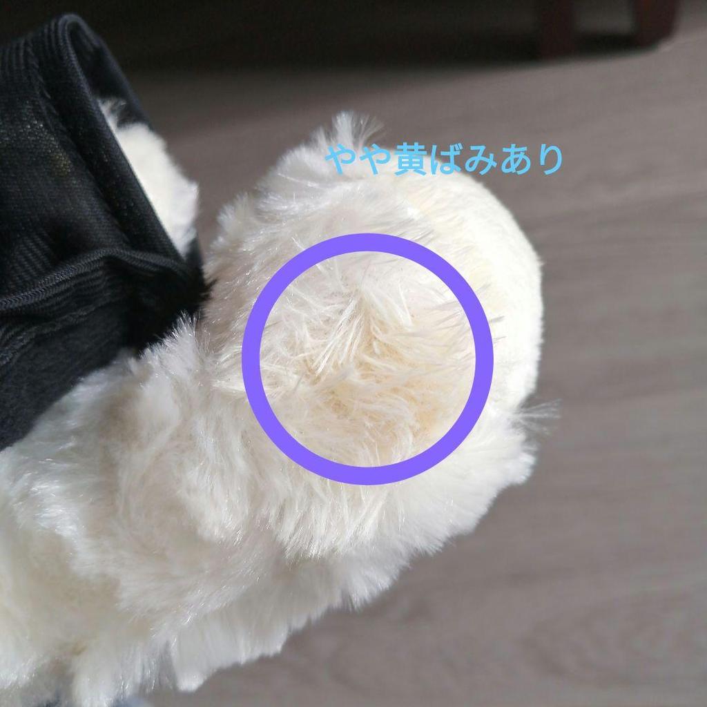 [USED] Extremely Rare Seoul National University Graduation Commemorative Teddy Bear