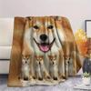1 Stück Shiba Inu Bullterrier Druck Flanelldecke, Hohe Qualität, Bequem für alle Jahreszeiten, Heimdekoration, Wärme und Komfort, Perfekt für Geschenke