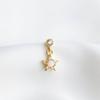 Fashion Jewelry Cute Hoop Earrings for Women 925 Sterling Silver Gold-plated Star Niche Luxury Opal Jewelry