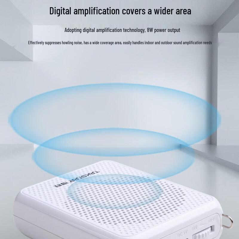 TAKSTAR E126W Tragbarer Drahtloser Verstärker