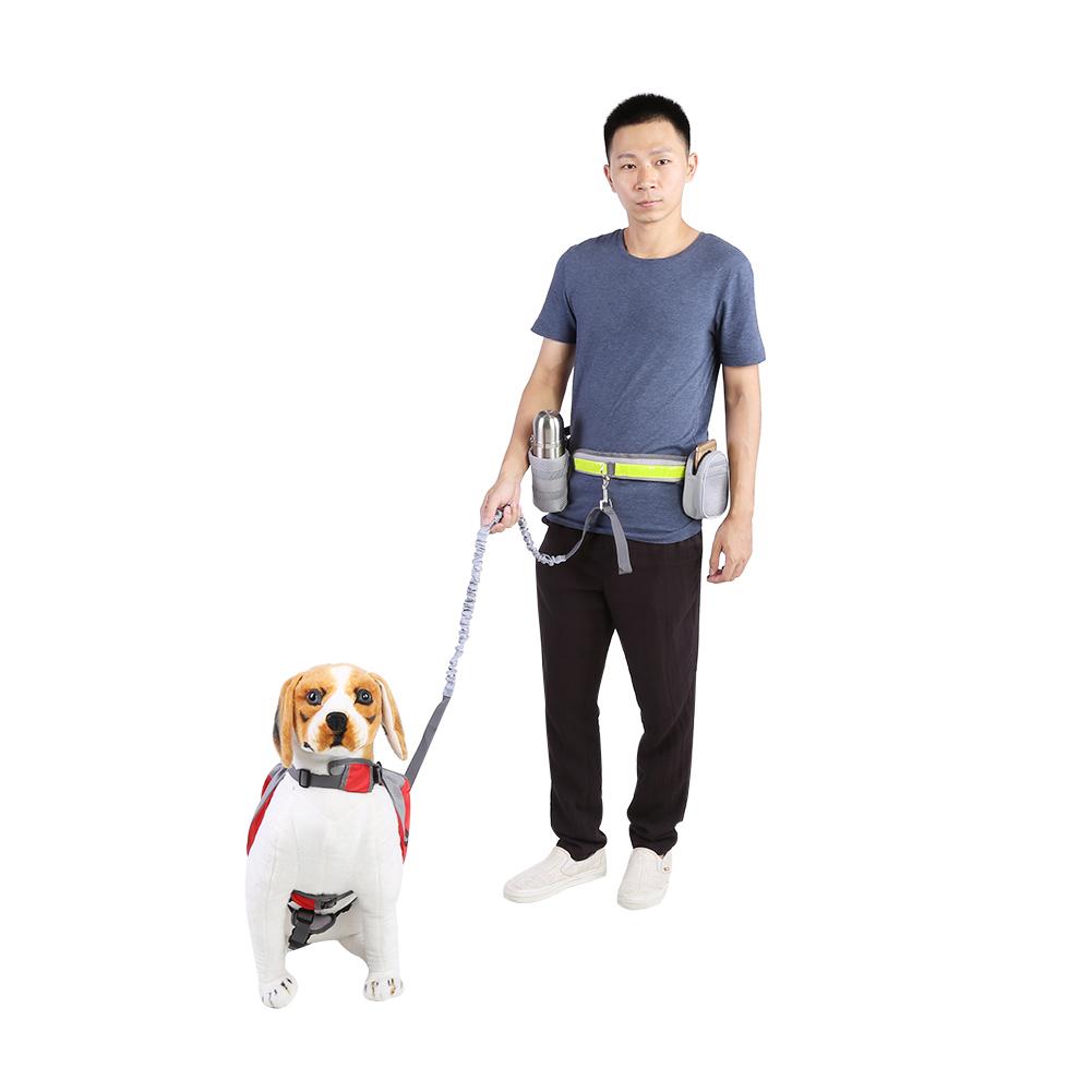 waist leash training