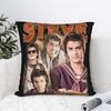 Steve Harrington Cool Guy Collage Pillowcase Soft Cushion Cover Decorative  Pillow Case Cover Living Room Square 40*40cm