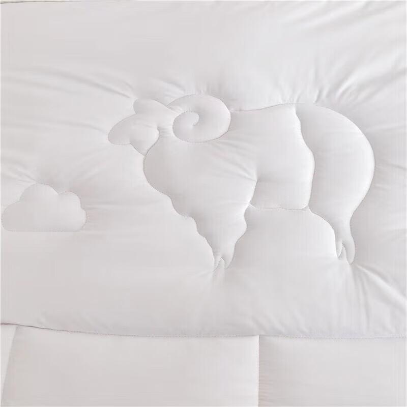 Jie Li Ya Australian Merino Wool Quilt