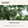 BAUM Face Wash Gel 180mL Cleansing Woodland Winds Scent Skincare Moisturizing Bare Skin Forest Bathing Unisex Mens Gift Present Birthday Organic Trees