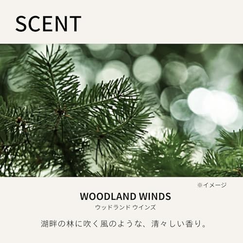 BAUM Face Wash Gel 180mL Cleansing Woodland Winds Scent Skincare Moisturizing Bare Skin Forest Bathing Unisex Mens Gift Present Birthday Organic Trees