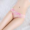 Transparent Embroidered Sexy Panties Women's Underwear Transparent Panties