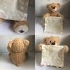 Niedlicher, sprechender Teddybär, 35 cm groß, wiederaufladbar, scheues Gesicht, batteriebetrieben