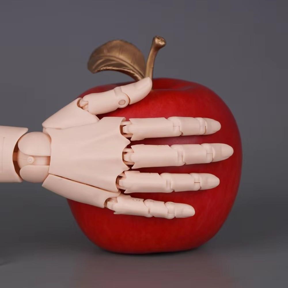 1:2 Scale Human Hand Model Mini Size Movable Joints Palm Model With Posable Fingers Twisted Egg Design Articulated Action Figure