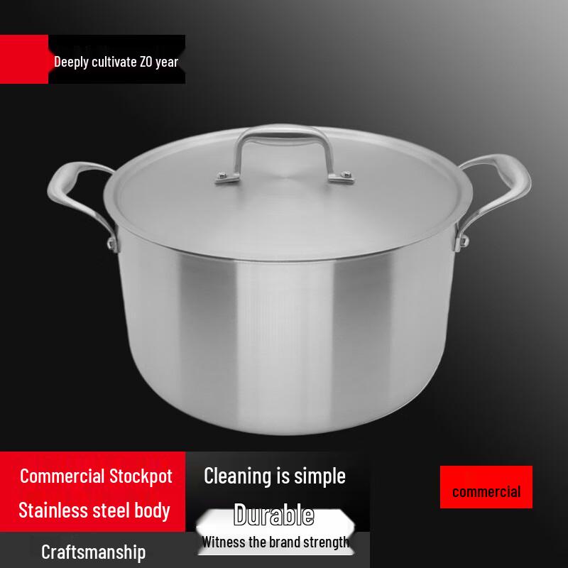 Sule 304 Stainless Steel Multi-Function Induction Pot