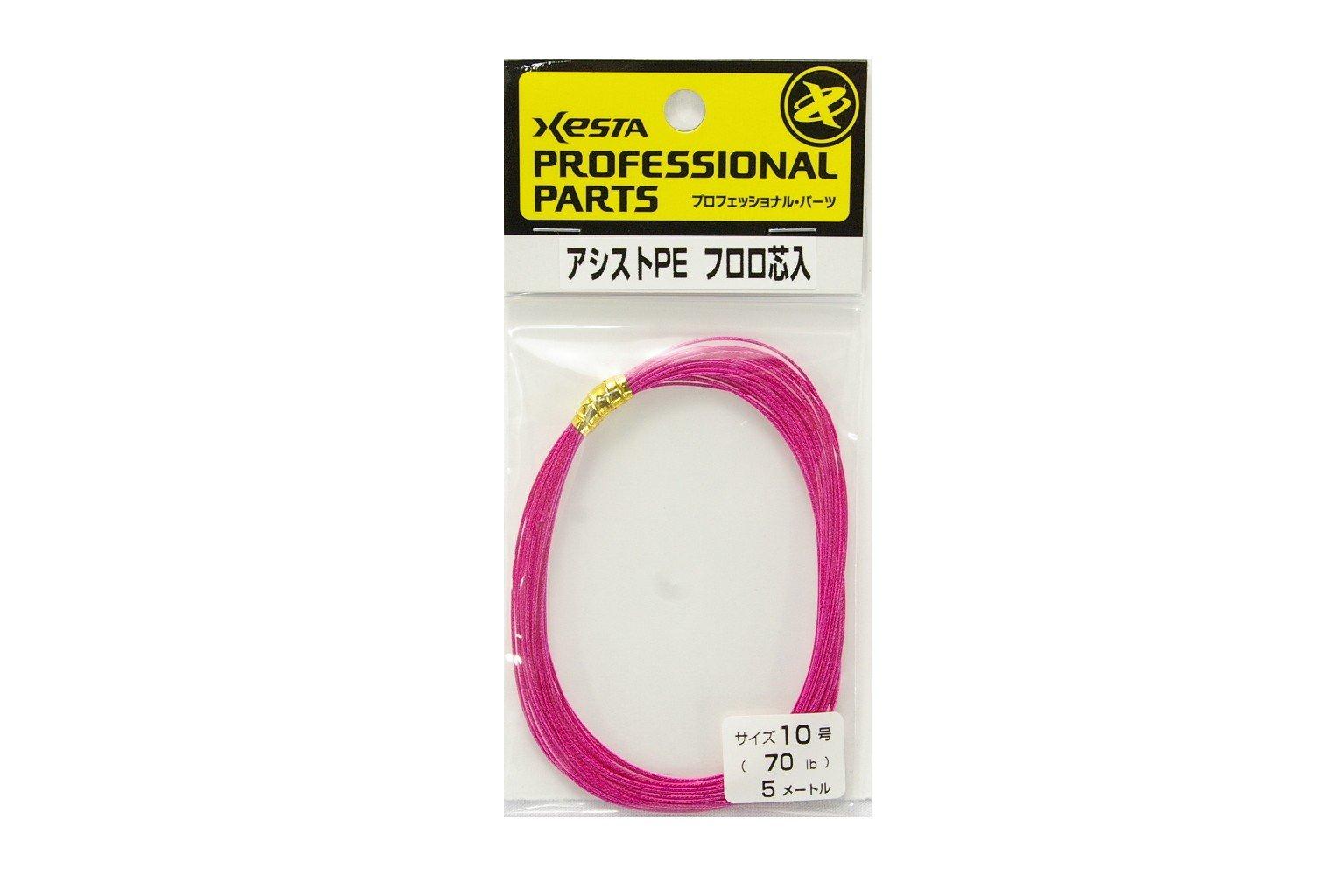 

XESTA Assist PE Fluoro Core 10 No. (70Lb)5m