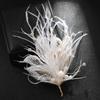 Super Fairy Feather Pearl Brooch Feminine Elegance Temperament Pin Party Coat High-end Corsage Hairpin Accessories
