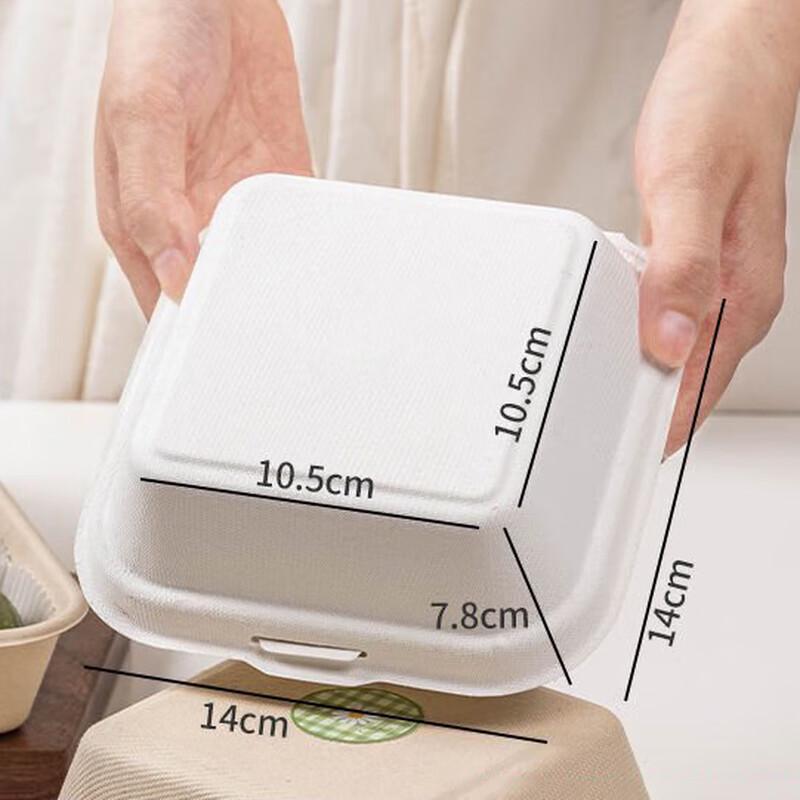 Disposable Food Packaging Boxes