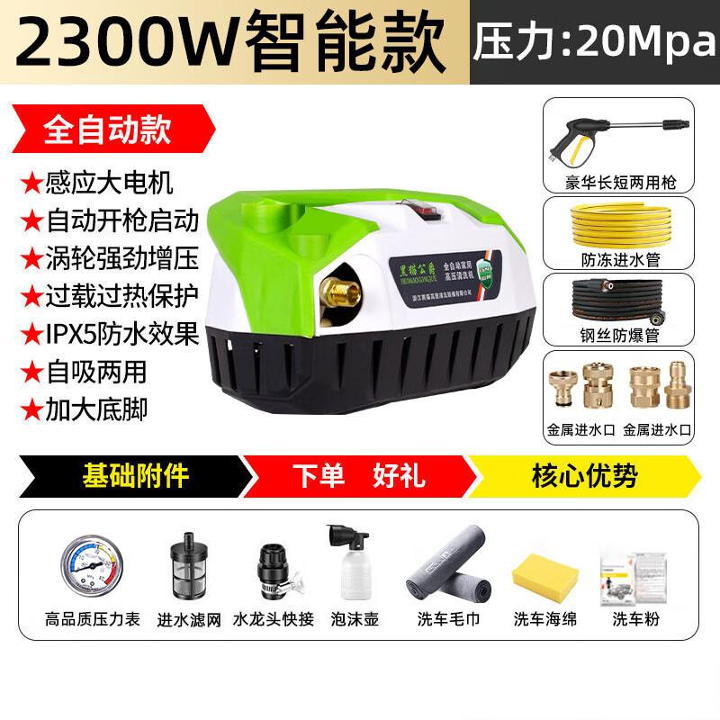 Black Cat Duke Portable High-Pressure Car Washer CN plug (adapter included)