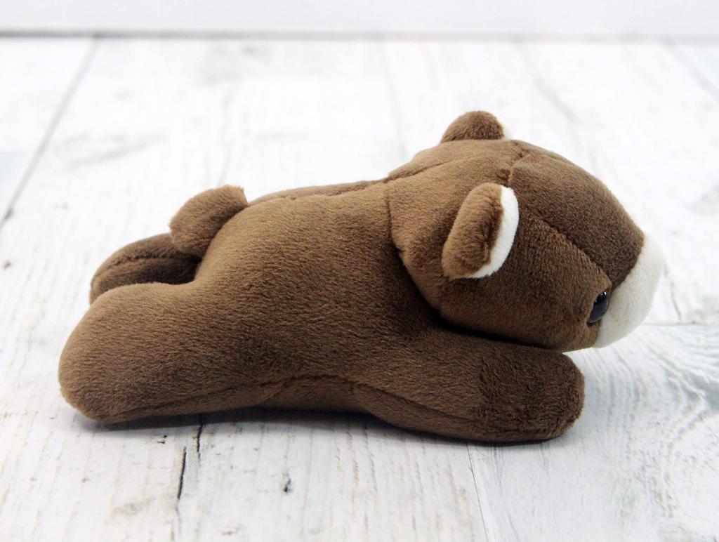 Take Off Pokepuni Brown Bear