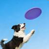 Bite-resistant Silicone Dog Flying Disk Toy Multifunctional Colorful Floating Outdoor Training Interactive Dog Toy Pelota Perro