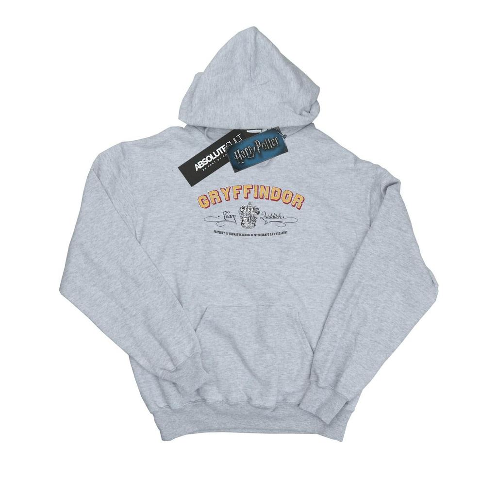 Harry Potter Womens/Ladies Gryffindor Team Quidditch Hoodie