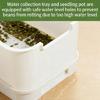 Modern Hydroponic Planter Box Bean Sprouter With Lid Cultivation Germination Tray For Bean Pea Wheatgrass Growing Plant