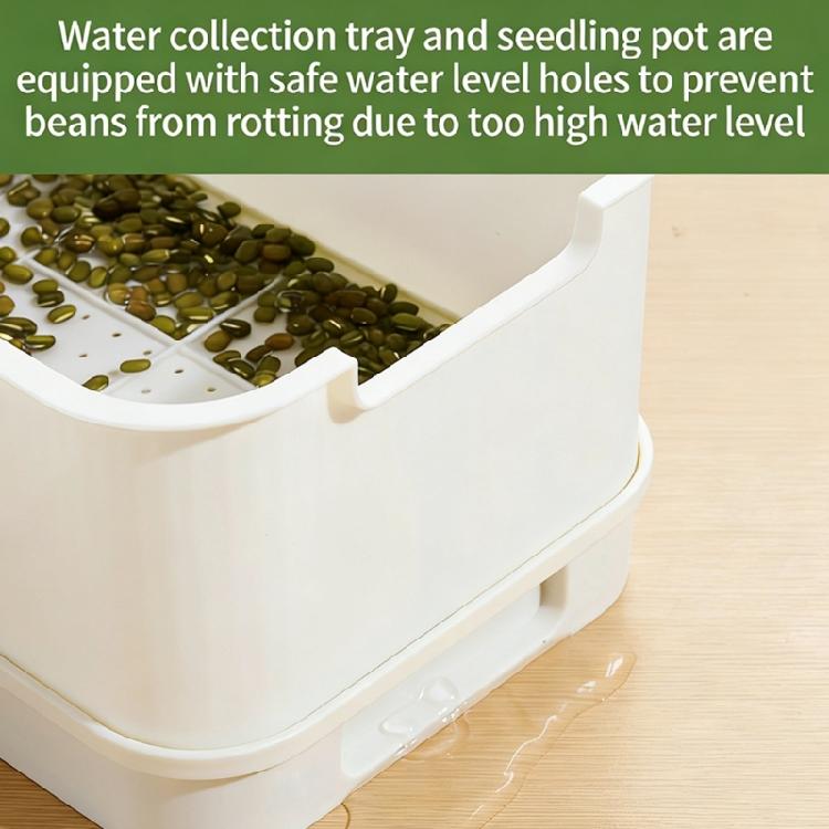 Modern Hydroponic Planter Box Bean Sprouter With Lid Cultivation Germination Tray For Bean Pea Wheatgrass Growing Plant